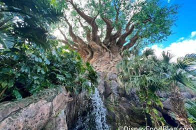 What’s New at Disney’s Animal Kingdom: Delicious Snacks and a STRONG Cocktail