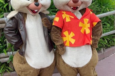 Chip and Dale as Rescue Rangers Coming Soon to Disney’s Hollywood Studios