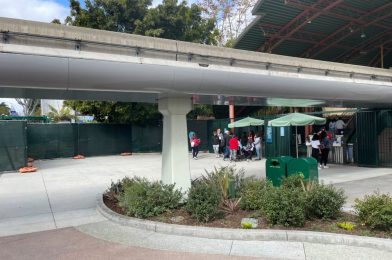 New Pavement Laid Outside Downtown Disney District Monorail Station