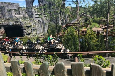 Hogwarts Legacy Game Features Easter Egg from Hagrid’s Magical Creatures Motorbike Adventure at Universal Orlando Resort