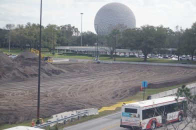 PHOTOS: Land Being Cleared Near Hei Hei Parking Lot at EPCOT