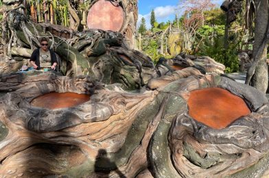 PHOTOS: All Interactive Drums Refurbished in Pandora – World of ‘Avatar’ at Disney’s Animal Kingdom
