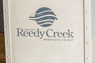 NEWS: Disney Responds to Looming Reedy Creek District Changes