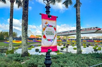 PRO TIP for Conquering the Crowds at EPCOT’s Flower & Garden Festival