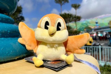 Chuuby Shoulder Plush Now Available in Disneyland