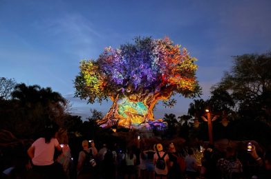 Tree of Life Awakenings Showtimes End March 11 at Disney’s Animal Kingdom