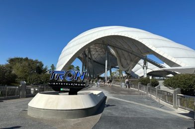 TRON Lightcycle Run Operating Hours Extended Today at Magic Kingdom