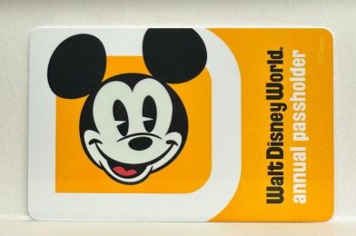 FIRST LOOK at the NEW Walt Disney World Annual Pass Design