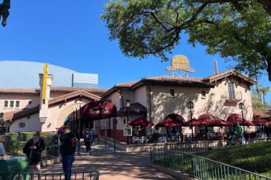 PHOTOS: Neon Signs Return to The Hollywood Brown Derby at Disney’s Hollywood Studios