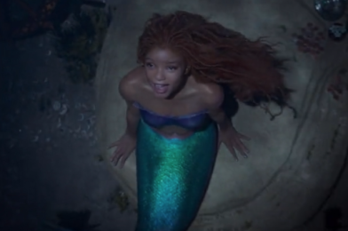 Disney’s NEW Halle Bailey ‘Little Mermaid’ Doll Is Now Available on Amazon