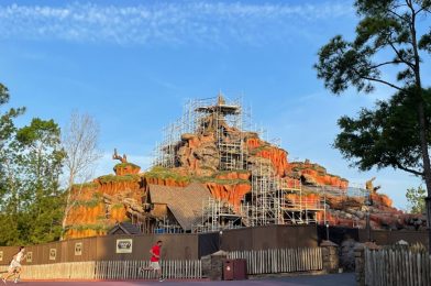PHOTOS: Scaffolding Now Surrounds Splash Mountain Tree, Removal Imminent as Tiana’s Bayou Adventure Progresses at Magic Kingdom