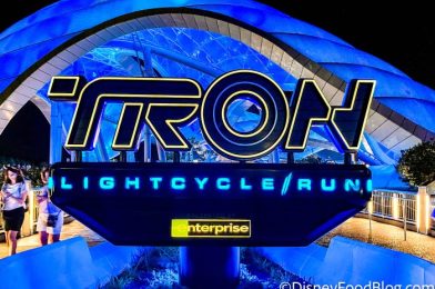 Pay-Per-Ride Price REVEALED for TRON Lightcycle / Run in Disney World