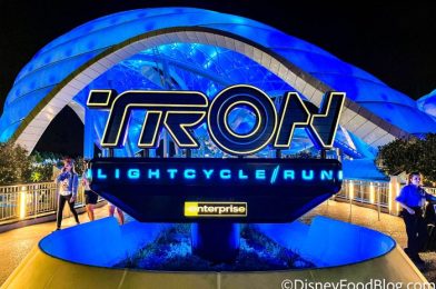 Virtual Queue Fills Up in SECONDS for TRON Lightcycle / Run in Disney World