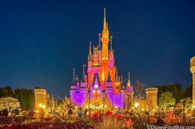 DFB Video: 10 Major Changes Coming to Disney Parks Around the World