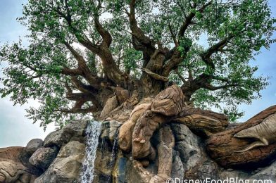 What’s New in Disney’s Animal Kingdom: 4 Snacks and 100th Anniversary Souvenirs