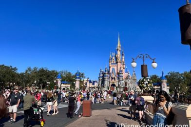 Disney World Wait Times Take a Dramatic DROP