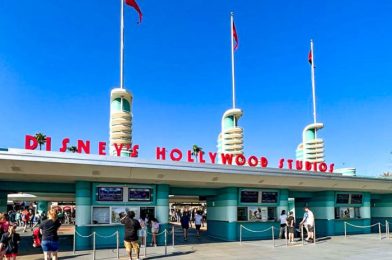 What’s New at Disney’s Hollywood Studios: A Loungefly Backpack and a LOT of Funko POP! Figures