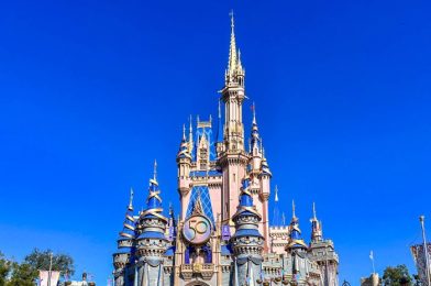 DFB Video: Everything You Need To Know About Disney World in 15 Minutes