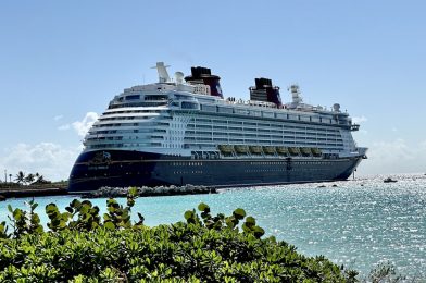 2024 Member Cruise Booking Set for April 22