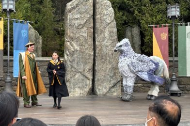 PHOTOS, VIDEO: Hippogriff Magical Encounter at The Wizarding World of Harry Potter in Universal Studios Japan