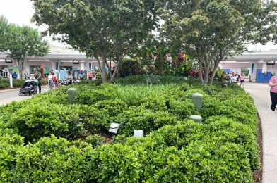 50th Anniversary Medallion Photo Spot Removed from World Celebration at EPCOT