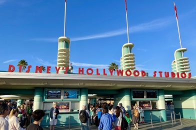 Child Whipped By Parent With Dog Leash at Disney’s Hollywood Studios