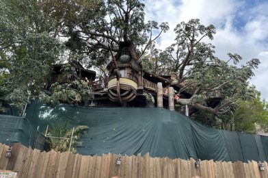 More Scaffolds Removed from Adventureland Treehouse at Disneyland as Construction Nears End