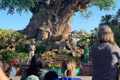 PHOTOS, VIDEO: Special Celebration Ceremony Held for 25th Anniversary of Disney’s Animal Kingdom