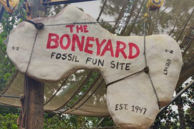 The Boneyard at Disney’s Animal Kingdom Closing for Refurbishment in May