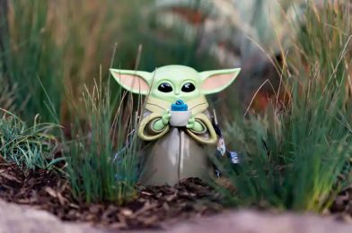 New ‘Star Wars’ Grogu Sipper Coming to Disneyland for May the 4th