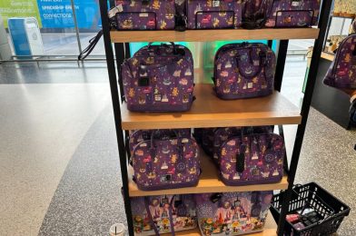 PHOTOS: Dooney & Bourke Joey Chou Collection Designer Bags Arrive at EPCOT