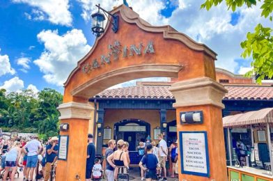 REVIEW: Chips, Guac, and a Killer Fireworks View? Our Honest Thoughts About La Cantina de San Angel in EPCOT!
