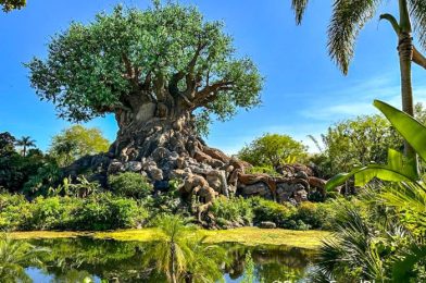 What’s New at Disney’s Animal Kingdom: The Tree of Life Garden Has Reopened!