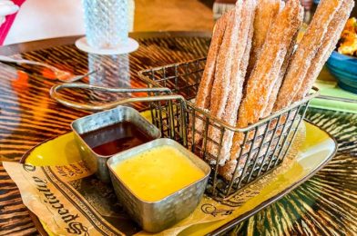 Guide To Churros and EVERY Place To Get Them In Disney World