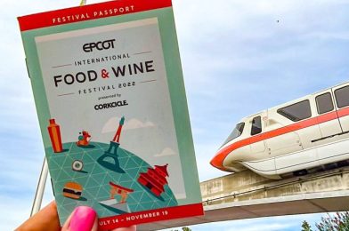 Why You Should Skip The EPCOT Food and Wine Festival This Year
