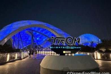 Can You Use This Exclusive TRON Virtual Queue? Find Out Here.