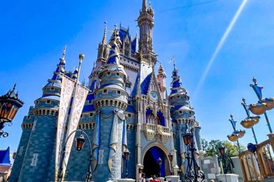 NEW Annual Passholder Lounge Announced for Disney World