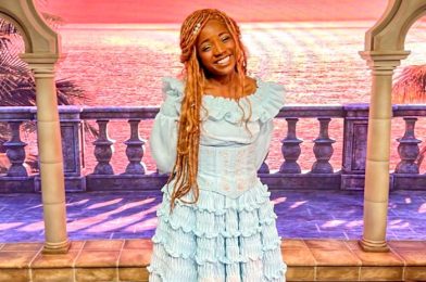 DFB Video: Latest News: Live-Action Ariel in the Parks, Ride Reopenings, A Popular Show Still Closed & More!