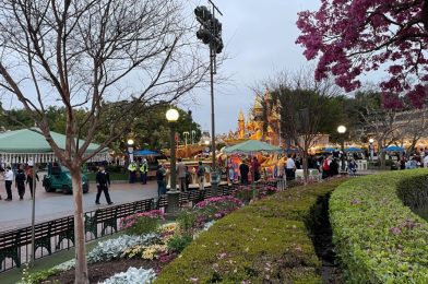 PHOTOS, VIDEO: Magic Happens Float Evacuates Performers, Remains Stuck in the Hub After Parade at Disneyland
