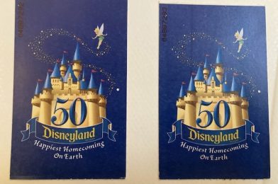 Disney’s 50th Anniversary Celebrations – A Comparison