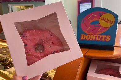 Universal Studios Florida ‘The Simpsons’ Big Pink Donuts Increase in Price Again