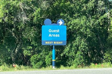 PHOTOS: New Directional Signage Appears Near Car Care Center at Walt Disney World