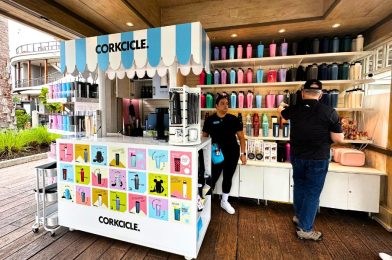 Let’s Take a Look at the New Corkcicle Kiosk at Disney Springs