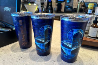 New Disney Cruise Line Silver Anniversary Tumbler Available