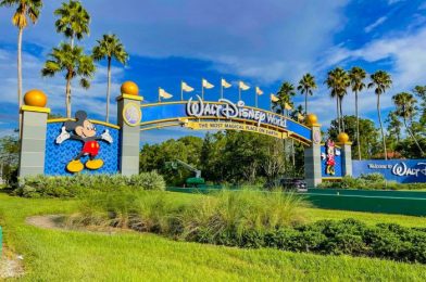 NEWS: DeSantis-Appointed District Board Will Sue Disney