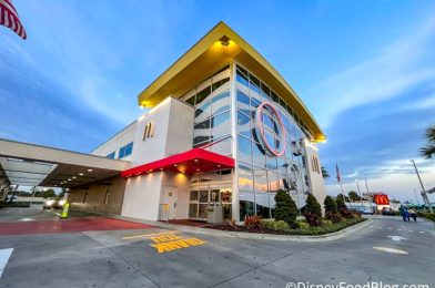 NEW McDonald’s Menu Item Coming to Select Locations