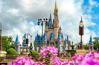 Disney World Bachelorette Party — The Ultimate Planning Guide
