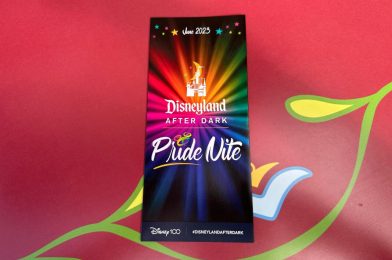 First Look at Disneyland After Dark: Pride Nite Map