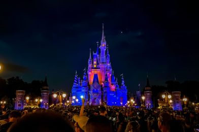 How Long Is the Happily Ever After Fireworks Show in Magic Kingdom?