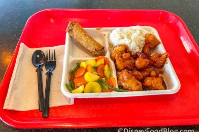 The EPCOT Restaurant With Local Takeout Vibes — Help Us Decide If That’s a Good or a Bad Thing